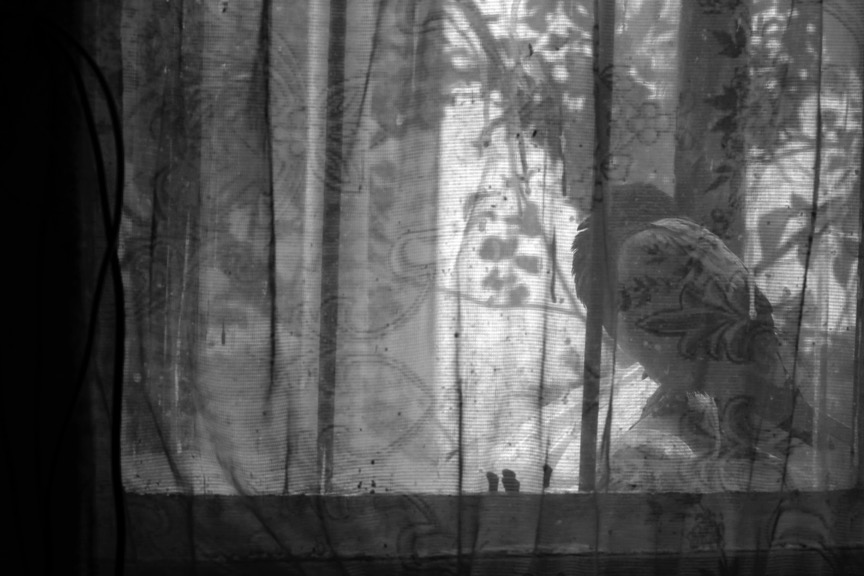 Photographie en noir et blanc d’un pigeon à travers une fenêtre, masqué par un rideau.